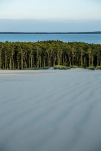 Wanderdüne, Leba, Polen Wanderdüne, Leba, Polen